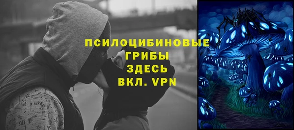 прущая мука Верея