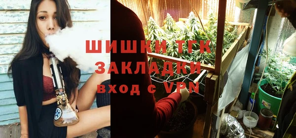 Альфа ПВП Вязьма