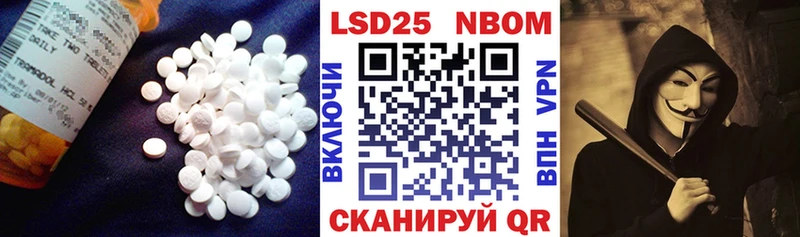 mega ТОР  Елизово  LSD-25 экстази ecstasy 
