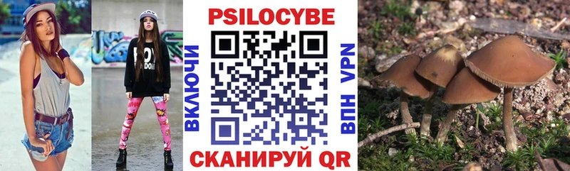 как найти наркотики  Елизово  Псилоцибиновые грибы ЛСД 